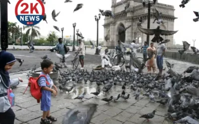 Mumbai pigeon feeding ban protests: कबूतरख़ाने बंद, सड़कों पर हजारों लोग 2KNEWS 28