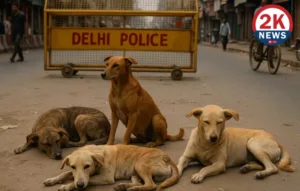 Supreme Court stray dogs removal order opinion