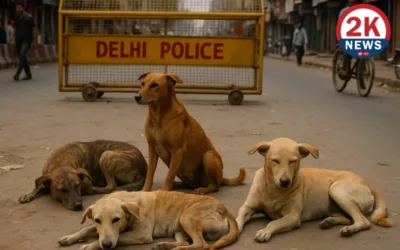 आवारा कुत्तों को हटाना चाहिए या नहीं, सुप्रीम कोर्ट का आदेश कितना सही? दें अपनी राय … Supreme Court stray dogs removal order opinion